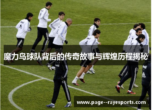 魔力鸟球队背后的传奇故事与辉煌历程揭秘 魔力鸟球队背后的传奇故事与辉煌历程揭秘