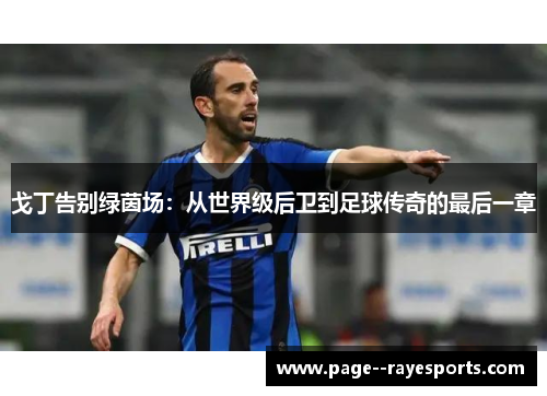 戈丁告别绿茵场:从世界级后卫到足球传奇的最后一章 戈丁告别绿茵场:从世界级后卫到足球传奇的最后一章