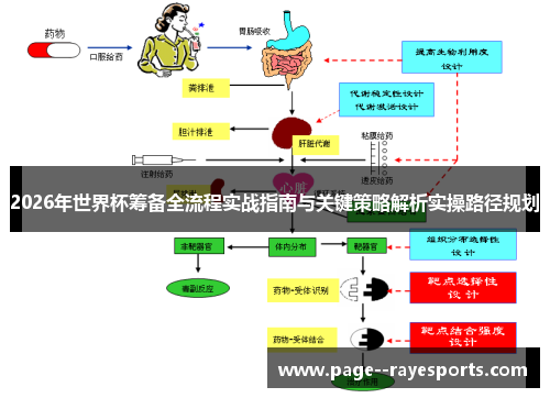 2026年世界杯筹备全流程实战指南与关键策略解析实操路径规划
